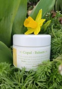 CopalBalsam_LinaRebmann