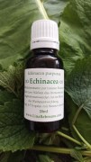 Echinacea_Urtinktur_LinaRebmann