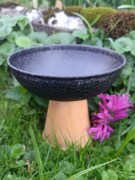 Feuerkelch_LinaRebmann