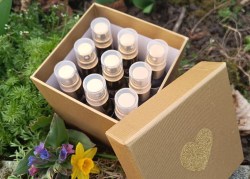 HumanDesignZentrensprays_LinaRebmann