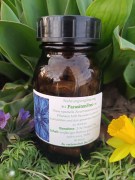 ParasitenfreiKapsel_LinaRebmann