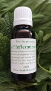 Pfefferminze_Urtinktur_LinaRebmann