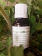 Schöllkraut_Urtinktur_LinaRebmann