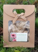 TeeImBeutel_Abwehrstark_LinaRebmann