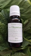 Thymian_Urtinktur_LinaRebmann