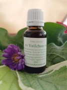 Wildkräuteressenz_Veilchen_LinaRebmann