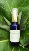linarebmann_Pflanzen-Auraspray_Ahnenkraft