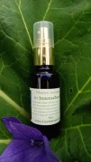 linarebmann_Pflanzen-Auraspray_Innenschau