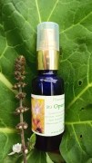 linarebmann_Pflanzen-Auraspray_Open-Spirit